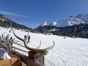 Tagesfahrt für Jedermann